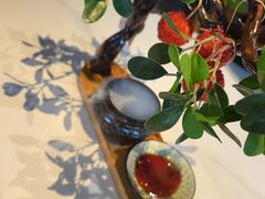 -唐猫庭院·千年陕菜(大唐不夜城店)