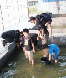 -麦粒鸟亲子游