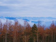 -富士山吉田線五合目