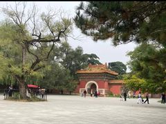 -北陵公园