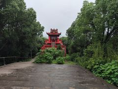 -吼山森林公园