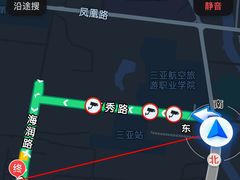 -盐禾堂海南屯昌香草鸭(总店)