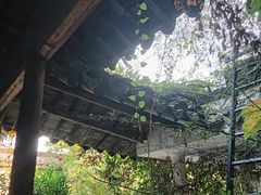 -小雅青年旅舍(平江路店)