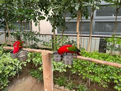 -南宫五洲植物乐园