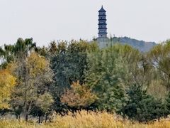 -北坞公园