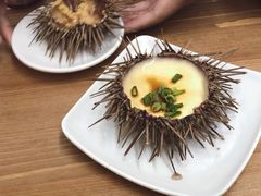 -海胆小馆(东北水饺·春柳店)