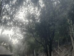 -明月山天沐温泉度假村