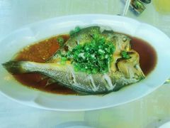 -上海新锦江大酒店