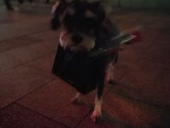 -TheRink大零溜冰场(IFS国金中心店)