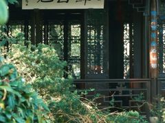 -上海醉白池公园