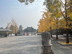 -晋祠公园