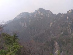 -王顺山国家森林公园