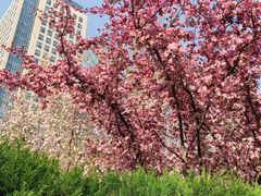 -元大都城垣遗址公园