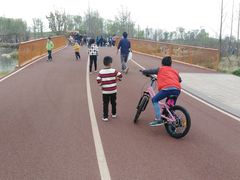 -白鹭湾湿地公园