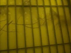 -君道天沐养生会所