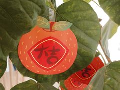 -echoes coffee回响咖啡(红山店)