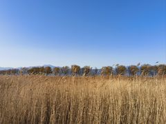 -野鸭湖国家湿地公园