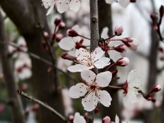 -中国天府农业博览园