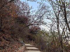 -北京西山国家森林公园