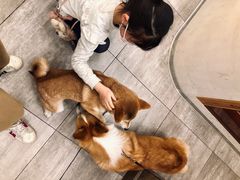 -SPARROW 家雀儿咖啡本店