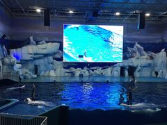 -福州罗源湾海洋世界旅游区