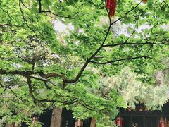 -成都武侯祠博物馆