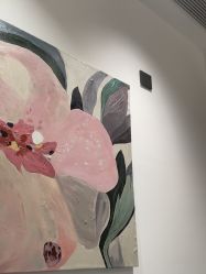 -郑州米兰柏羽集美医疗美容医院