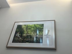 点击看大图 -宝贝家族国际影像馆(高新店)