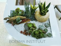 -荷兰布尔玛国际花艺学院