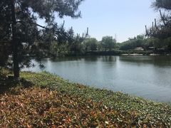 -西安汉城湖景区