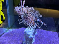 -海合安天津极地海洋公园