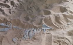 -恐龙探索乐园(磁器口店)