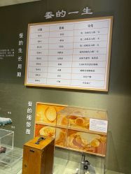 点击看大图 -太湖雪蚕桑文化园