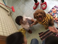 -创凡宠物医院·骨专科  猫科中心(西乡分院)