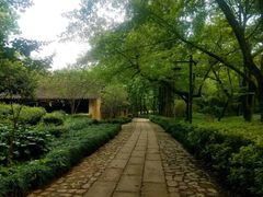 -法云古村
