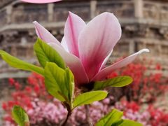 -玲珑塔公园