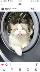 -MONICABOX美甲美睫