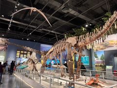 -国家自然博物馆