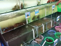 水产区-琼大师东方烤乳猪(亚特兰蒂斯店)