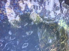 -三亚海棠湾南田温泉神龙谷
