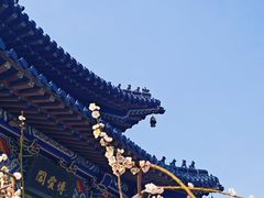 -梅花山(明孝陵内)