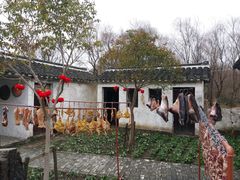 -溱湖国家湿地公园