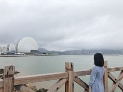 -野狸岛