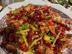 -青城甲(青城山店)