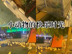 -北京华联购物中心(同成街店)