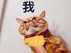 -姚记肚包肉(牛街春风社区店)