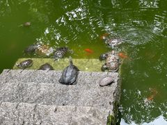 -南岳衡山风景名胜区-南岳大庙