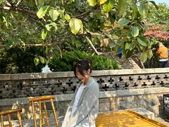 -泰山风景名胜区-普照寺