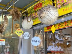 -大澳渔村及棚屋