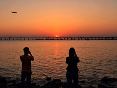 -宝安西湾红树林湿地公园